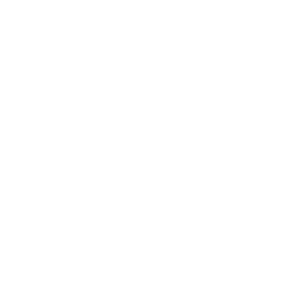 Zigzag Moustache 1.png