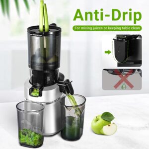 Unityj Uk Kitchen Appliances AMZCHEF Automatic Slow Juicer Machines 5 1257