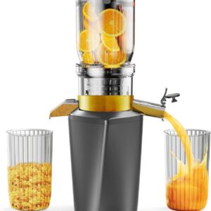 Unityj Uk Kitchen Appliances Fyenkfar Cold Press Slow Juicer 2342